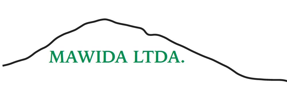 Volver a la página principal